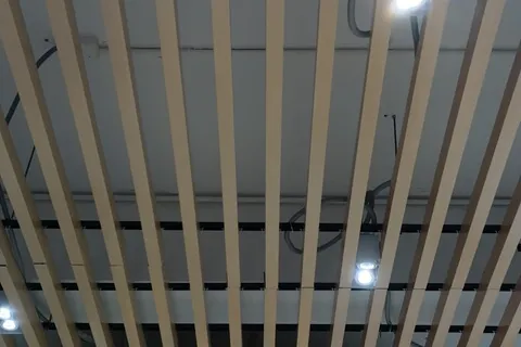 Warm oak ceiling battens with a green acoustic panel feature above the entrance